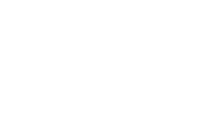 Dens logo Dens