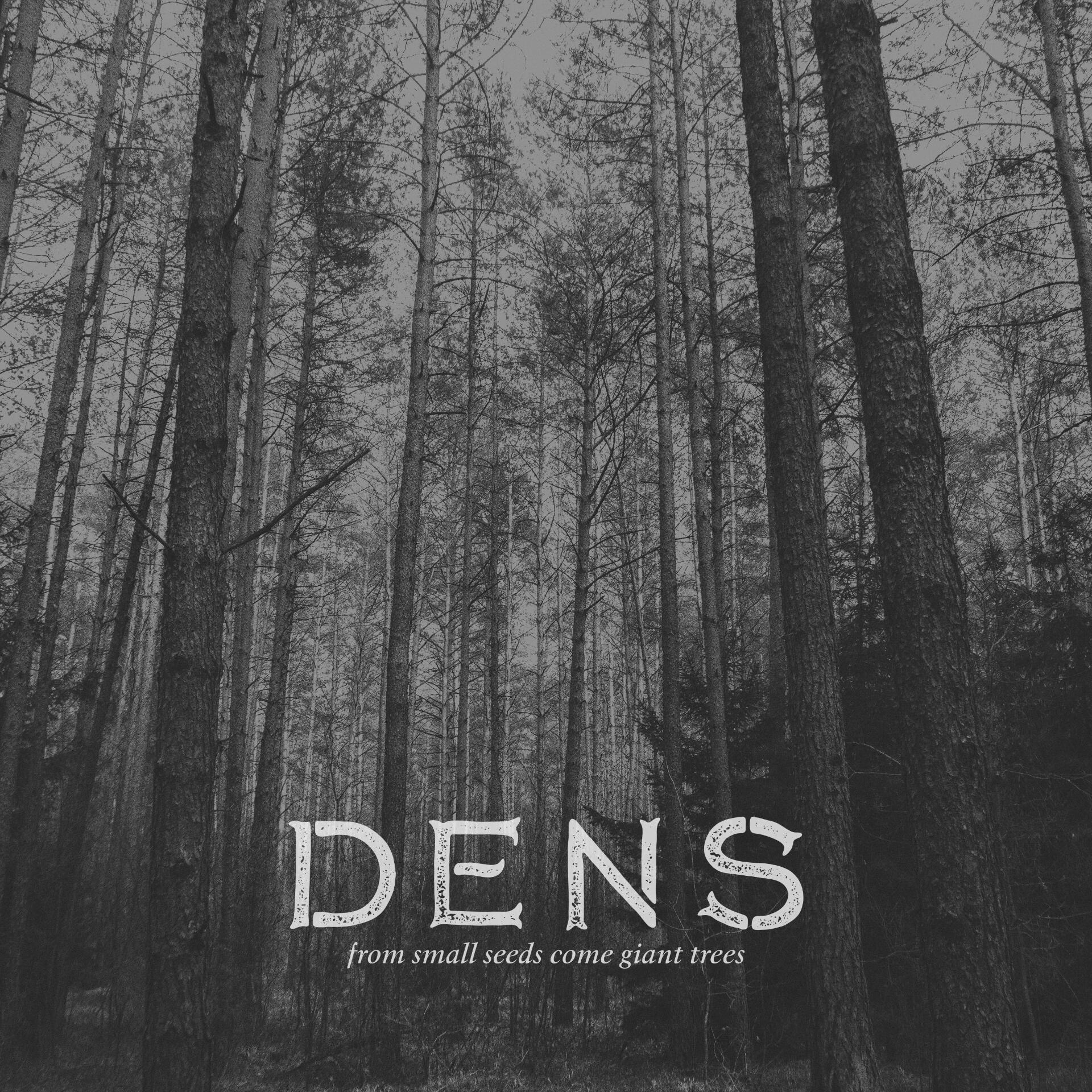 From Small Seeds Come Giant Trees album artwork